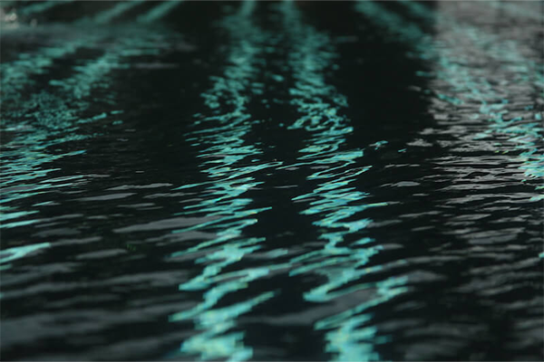 Agua Viva
